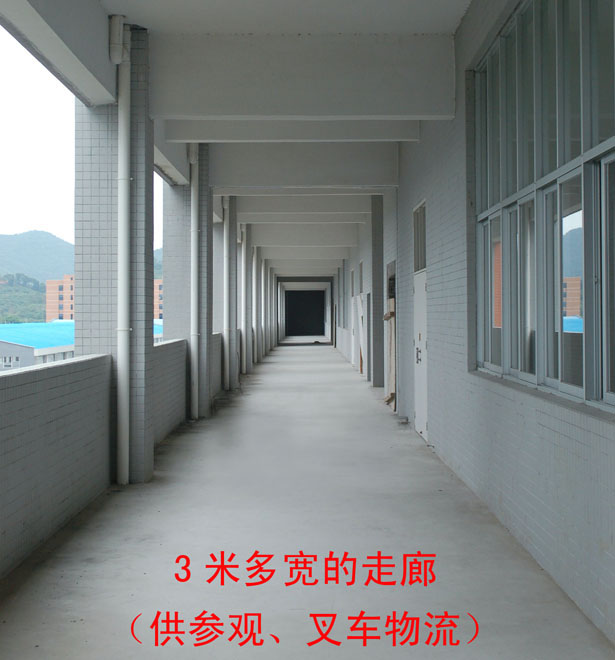 参观走廊